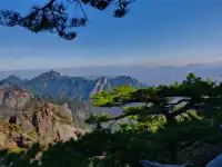 12.7週末黃山人潮擁擠