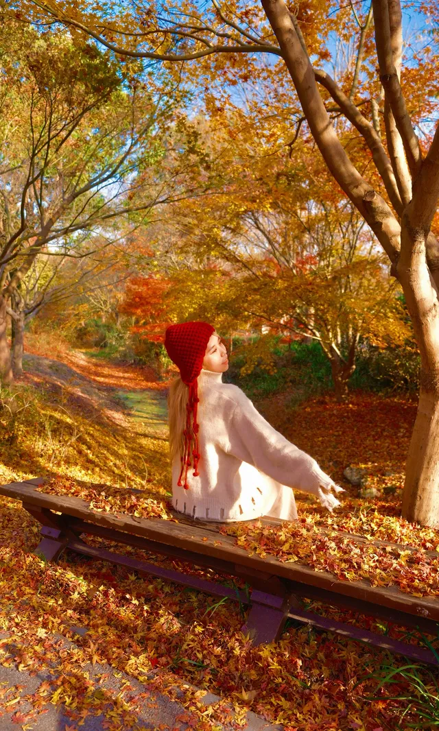 不誇張這是上海拍楓葉最美的公園了 不誇張這是上海拍楓葉最美的公園了