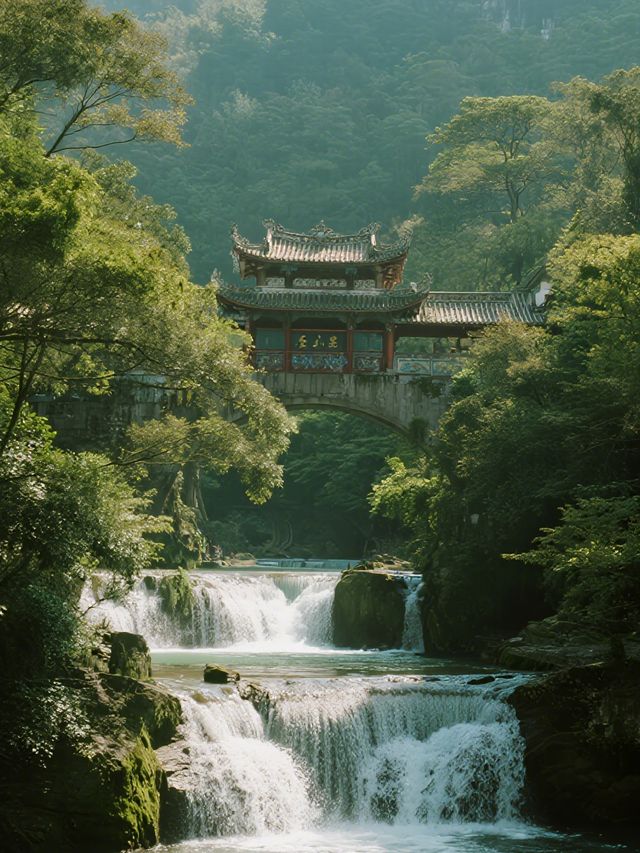 鼎湖山冬日親子遊！1.5h直達吸氧賞雪～