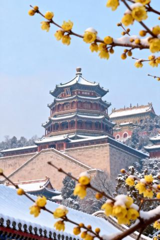 Winter Plum Blossom Hunt at the Summer Palace, a Garden Full of Golden Royal Romance