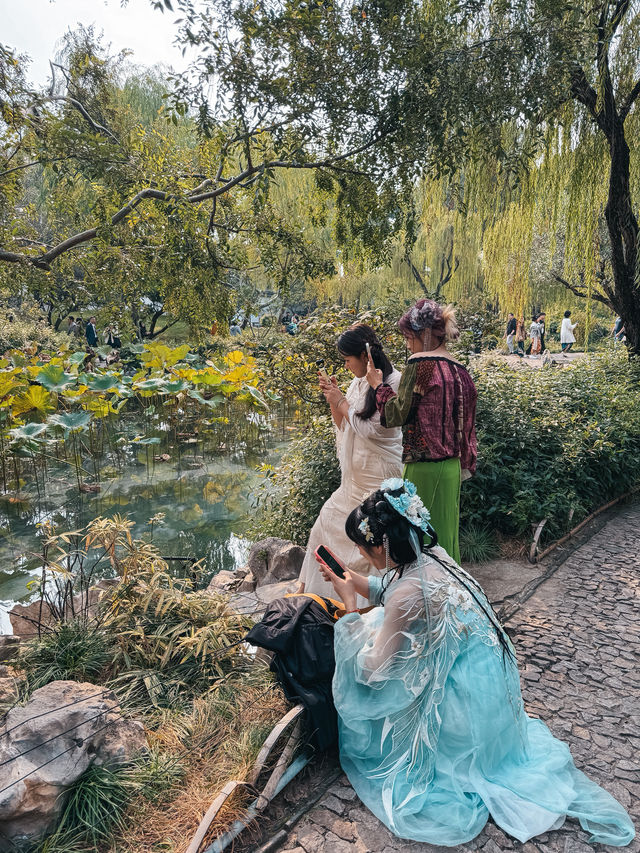 🏛️ Сад под защитой мира 🏛️ Сад под защитой мира