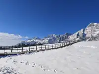 自駕玉龍雪山 牦牛坪藍月谷冰川公園攻略