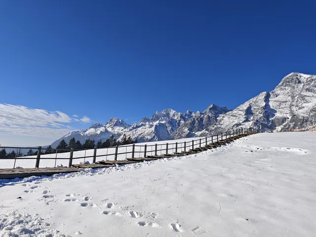 自駕玉龍雪山 牦牛坪藍月谷冰川公園攻略