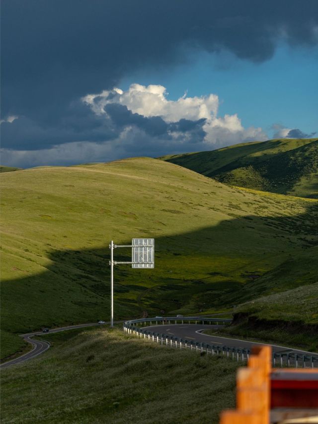 油畫般的「宗塔七色草原」是戶外人遛狗樂園 油畫般的「宗塔七色草原」是戶外人遛狗樂園