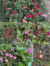 歷峰雙墅藝術探秘