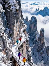 雪後老君山有多絕?這份攻略帶你登頂"天宮"