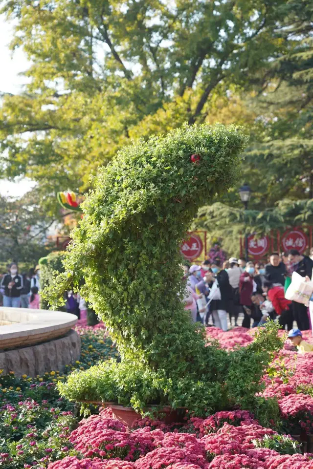 Qingdao Zhongshan Park, a hidden healing spot cherished by locals