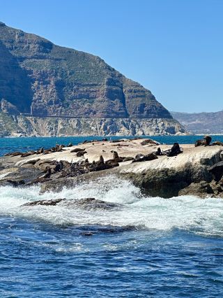 「ทัวร์แอฟริกาใต้ 9 วัน｜เส้นทางใหม่คุ้มค่าที่สุด」