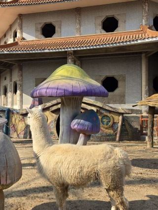 3日間で巡る鄭州-駐馬店-漯河の完全ガイド