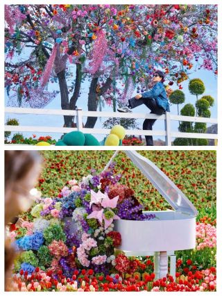 Real footage of the early spring flower sea in Zibo! I've discovered a hidden gem for your check-in