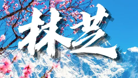 Who can resist the ten-mile peach blossom feast beneath the snow-capped mountains? — traveler post in Basu