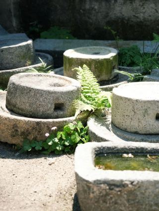 Belonging to the Chaoshan people: The Big Fish & Begonia｜Chaozhou's National Treasure Tulou