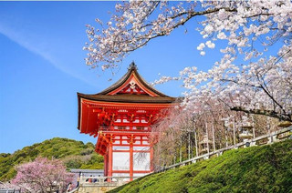 日本6日間ツアー クラシックを満喫し、美しい景色を見逃さない
