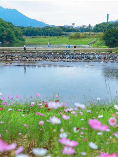 風景 花畑 （I） 秘境の花畑で川の景色と出会う | Trip.com 深セン