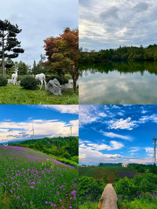 重慶天然冷氣城 夏季平均氣溫21⁰C 親子度假避暑勝地