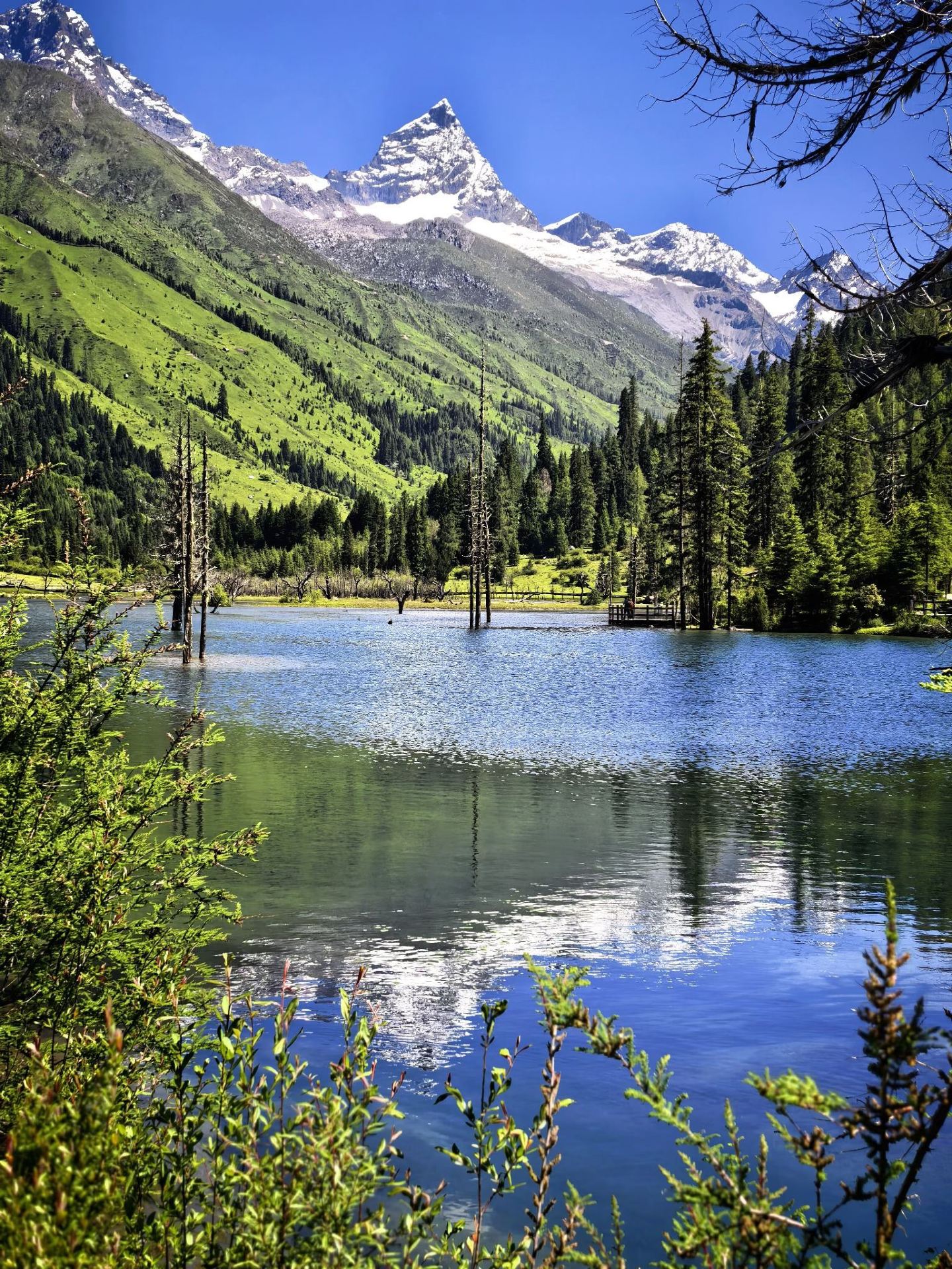 Going to Aba and other places in summer is so worth it, hiding healing mountain wilderness secrets
