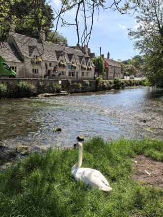 We joined a local UK tour to the Cotswolds for a day trip, which included Bibury, Bourton-on-the-Water, the cathedral, Broadway Tower, and Chipping Camden.