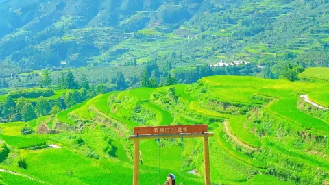 Chỉ trong hai giờ, bạn có thể di chuyển bằng tàu cao tốc và khám phá một thiên đường ẩn sâu trong lòng núi. — traveler post in Tòng Giang