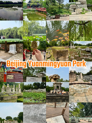 Old Summer Palace – A recommended hidden gem for lotus viewing in Beijing
