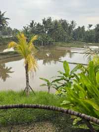 Exceptional Stay at Equipoise Resort