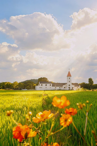 #MidAutumnNationalDayFun #WhereToGoForNationalDay Exploring the countryside, encountering this pastoral landscape and pure white church — Songjiang, Dongjing Zhangpuqiao Church This sentence