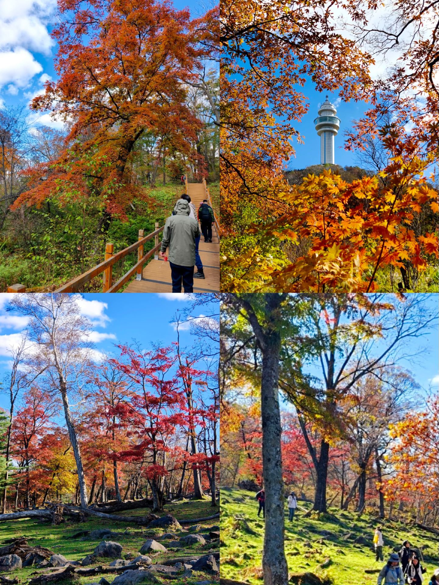 Jilin Sifangdingzi | Step into the Dead Wood Paradise and encounter the autumn forests of Northeast China