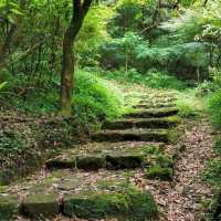 山裡雲間陽明山二子坪步道