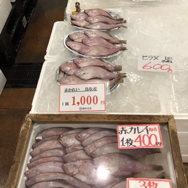 鳥取賀露市場一次滿足幾個願望