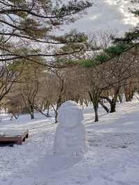 눈 쌓인 날 가면 더 좋은 힐링 명소, 제주 절물자연휴양림🌿