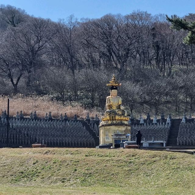 드라마 우영우 촬영지 관음사