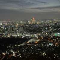 Namsan Seoul Tower