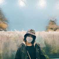 Xpark Aquarium in Taoyuan