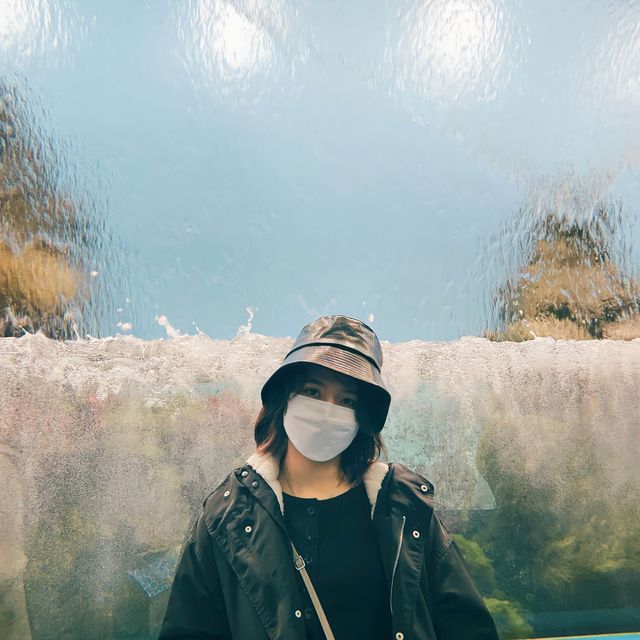 Xpark Aquarium in Taoyuan
