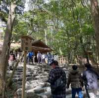 【三重】一度は訪れたい伊勢神宮内宮