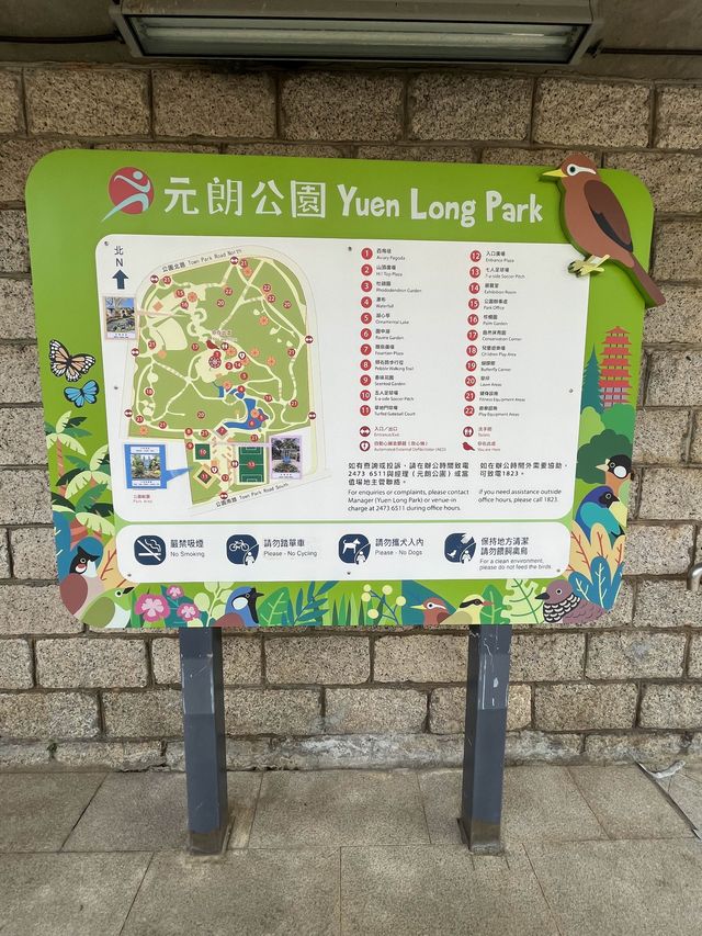 處處繡球花圃 @ 元朗公園