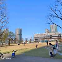 東京旅遊，豐洲公園