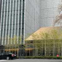 THE CAPITOL HOTEL TOKYU (JAPAN)