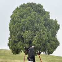 멋진 사진을 위한 서울 관광지 🌳 올림픽공원