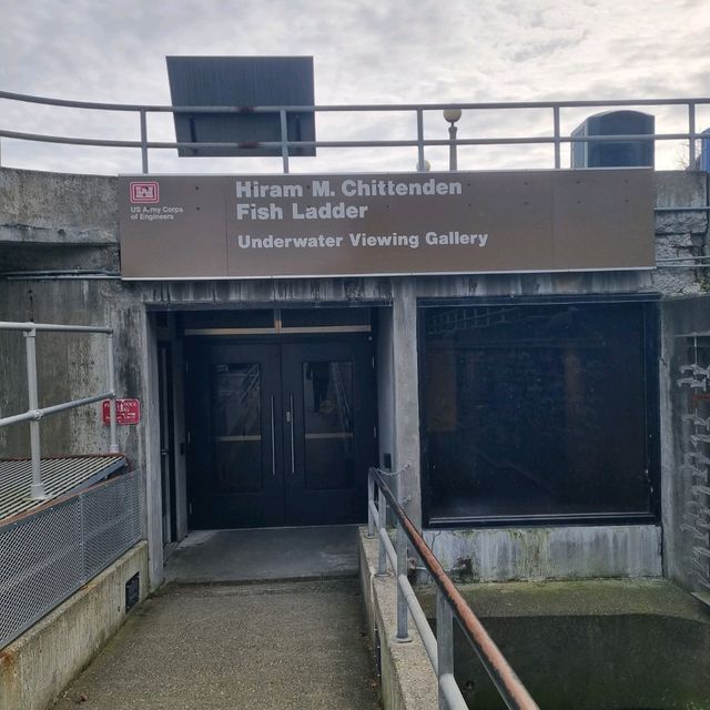 The Famous Ballard Locks, Seattle