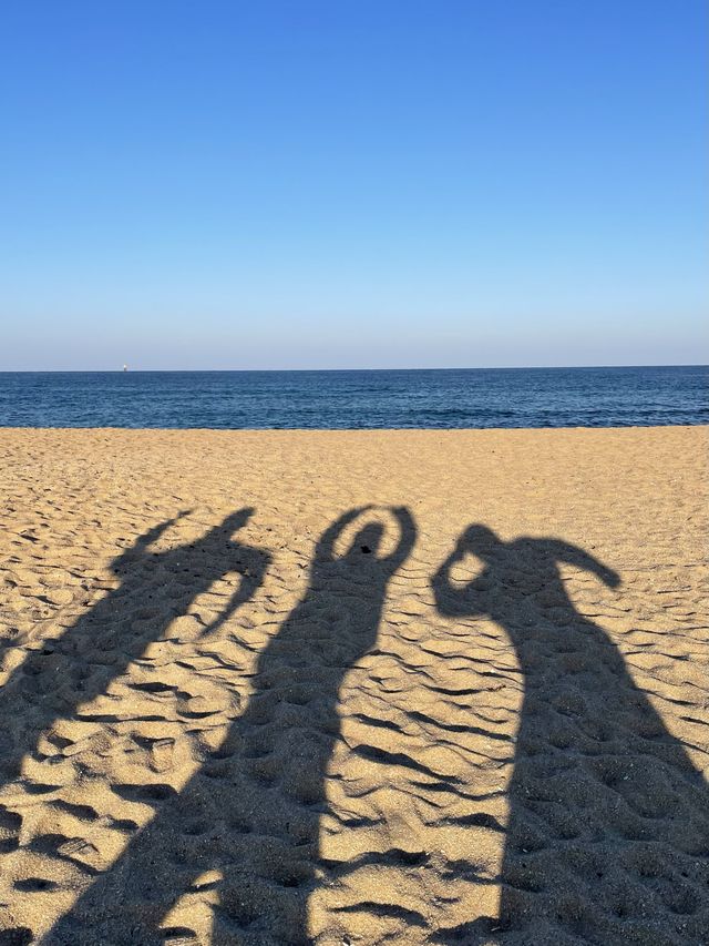 속초에서 가볼만한 여행지 🌿