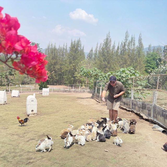 Scenic Rabbit/Chicken Farm @ Ratchaburi