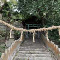 香川県佐柳島