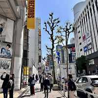Japan's Most Loyal Dog