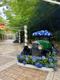 Where Dreams come true 365일 추억을 만드는 곳으로 초대합니다 :)