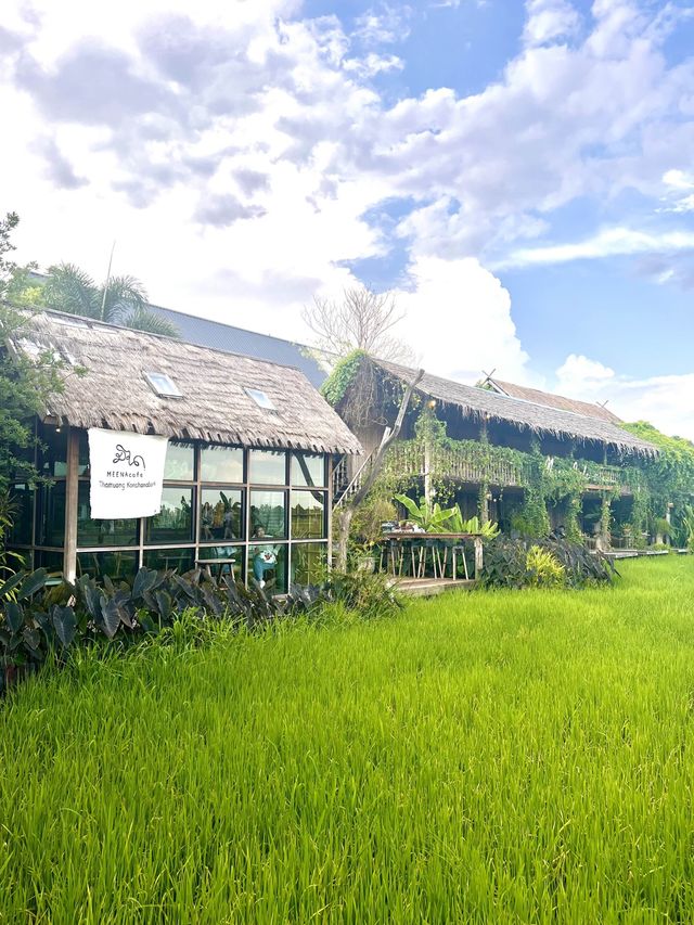 Instagrammable Cafe in Thailand⁉️🇹🇭🌾 