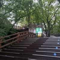 高處看韓國 N Seoul Tower