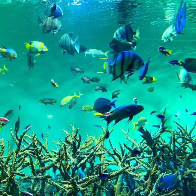 📍葛西臨海水族園