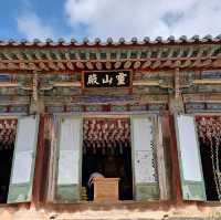 일제에서 돌아온 지장보살