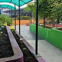 Rooftop Community Garden 