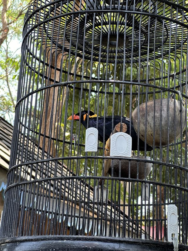 Mini Zoo in Restaurant